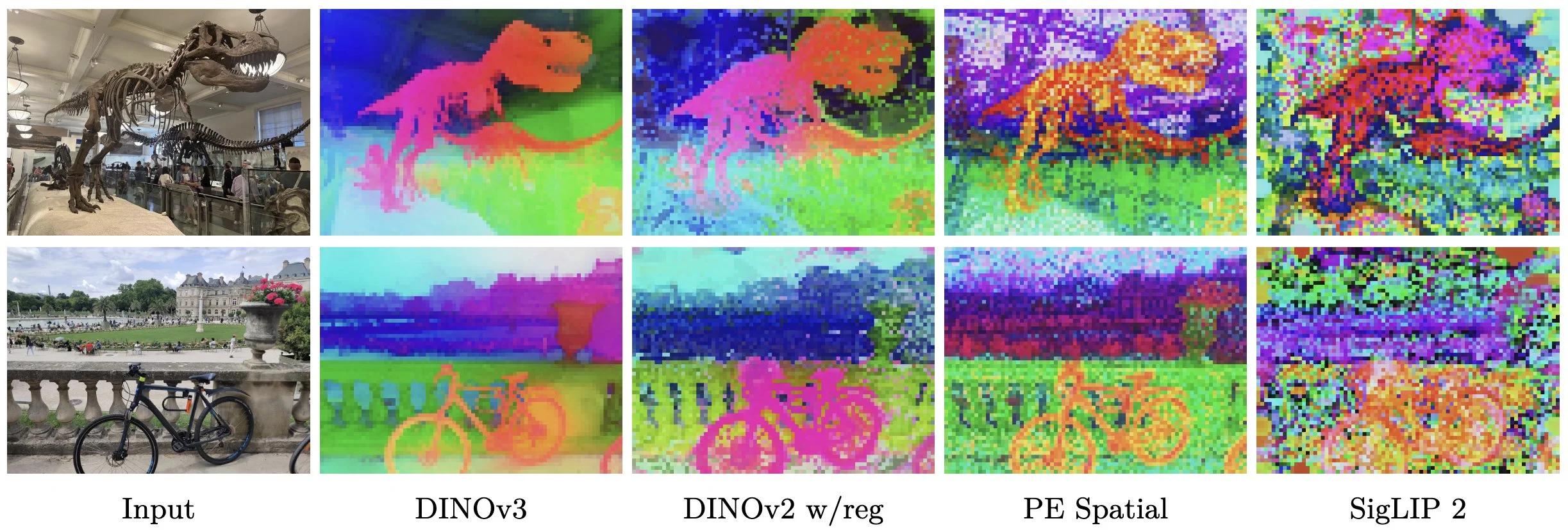 DINO looking at dinos